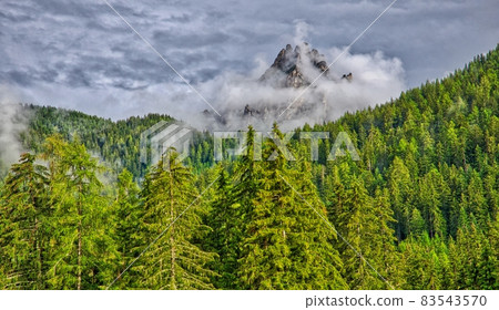 Haze over the forests 83543570