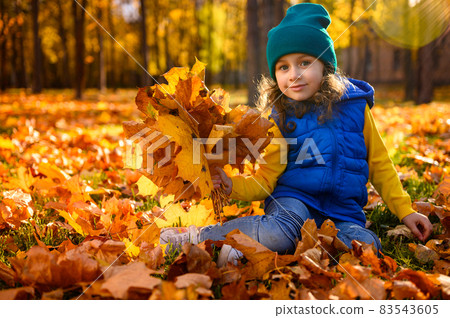 Pretty little girl with collected autumnal maple leaves bouquet cutely smiles looking at camera sitting among golden fallen leaves on the autumn nature background with sun rays falling on forest park Pretty little girl with collected autumnal maple leaves bouquet cutely smiles looking at camera sitting among golden fallen leaves on the autumn nature background with sun rays falling on forest park 83543605