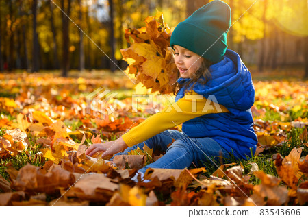 Happy cheerful child, beautiful baby girl in bright colorful warm clothes playing among fallen maple leaves and gathering dry bouquet. Sunbeams falling through trees on an autumn forest park at sunset Happy cheerful child, beautiful baby girl in bright colorful warm clothes playing among fallen maple leaves and gathering dry bouquet. Sunbeams falling through trees on an autumn forest park at sunset 83543606