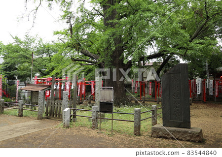 Shinboku of the demon mother god Shinboku of the demon mother god 83544840