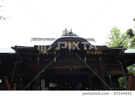 惡魔女神 惡魔女神 83544841