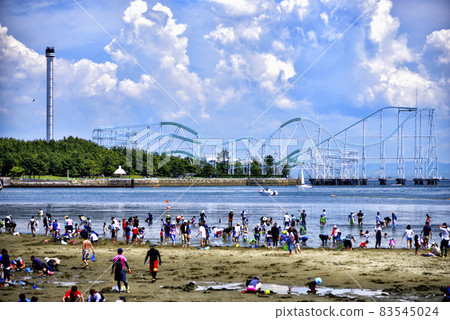 [Kanagawa] Clam digging around Hakkeijima 83545024
