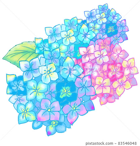 Hydrangea that is perfect for the rainy season that can be used for leaflets, advertisements and icons ① 83546048