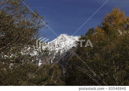 Kamikochi in full of autumn colors Taisho Pond-Kappa Bridge 83548948