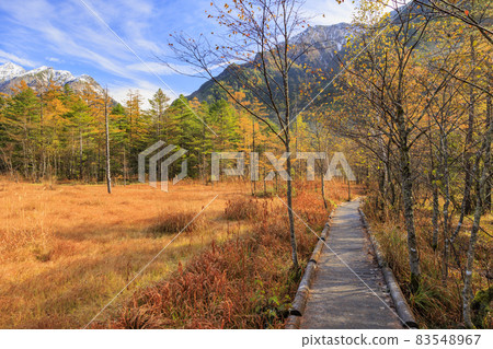 Kamikochi in full of autumn colors Taisho Pond-Kappa Bridge 83548967