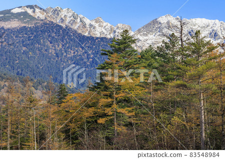 充滿秋色的上高地 大正池河童橋 充滿秋色的上高地 大正池河童橋 83548984