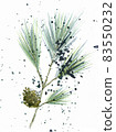 Watercolour pine branch and cone winter season illustration. 83550232