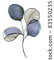 Hand drawn watercolour of floral element. 83550235