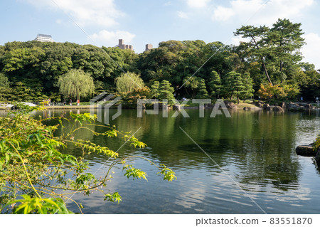 德川 德川 83551870
