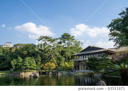 德川 德川 83551871