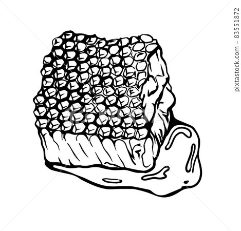 Honeycomb sketch. Beeswax. Honey.Hand-drawn illustration in the Doodle style. 83551872