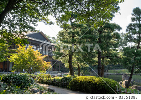 德川 德川 83551885