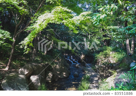 德川 德川 83551886
