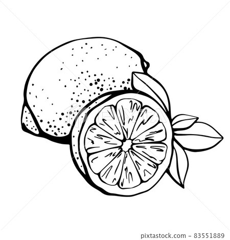Lemon and lemon slice. Strengthening the immune system and health 83551889