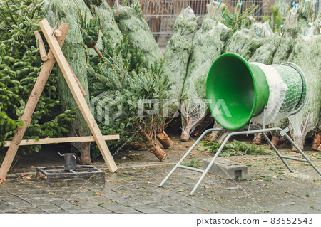 Pines and green netting tube in a farm market, no people. Buying Christmas trees and transportation concept. Selective focus, copy space Pines and green netting tube in a farm market, no people. Buying Christmas trees and transportation concept. Selective focus, copy space 83552543