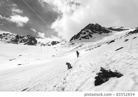 Dog and hiker in snowy mountains. Black and white toned landscape. 83552654