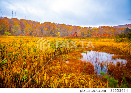 Autumn leaves of Hachimantai and Onuma, Akita Prefecture Autumn leaves of Hachimantai and Onuma, Akita Prefecture 83553454