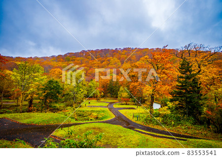 秋田縣八幡平和大沼的紅葉 83553541