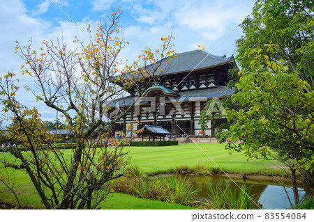 東大寺大佛殿和藍天池 東大寺大佛殿和藍天池 83554084