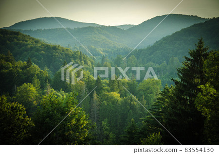 Forests and green hills, National park Plitvice Lakes, Croatia, Europe Forests and green hills, National park Plitvice Lakes, Croatia, Europe 83554130