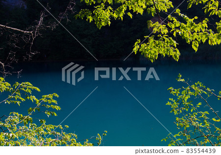 Lake with clear turquoise water, National park Plitvice Lakes, Croatia Lake with clear turquoise water, National park Plitvice Lakes, Croatia 83554439