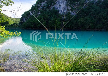 Lake with clear turquoise water, National park Plitvice Lakes, Croatia Lake with clear turquoise water, National park Plitvice Lakes, Croatia 83554440