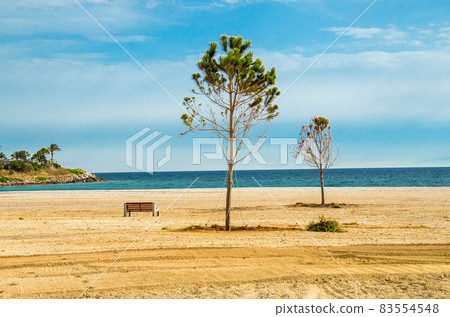 Sandy beach with trees and bench on shore of gulf in Athens, Greece 83554548