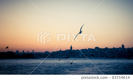 Sunset over Bosphorus and a seagull in focus with Istanbul cityscape Sunset over Bosphorus and a seagull in focus with Istanbul cityscape 83554614