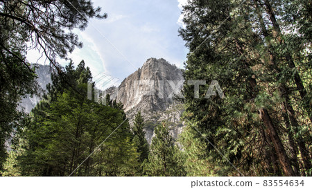 Yosemite National Park Panoramic landscape 83554634