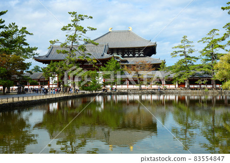 Landscape that shines in the Great Buddha Hall of Todaiji Temple and Kagamiike Landscape that shines in the Great Buddha Hall of Todaiji Temple and Kagamiike 83554847