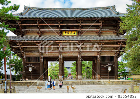 Todaiji Namdaemun and Deer 83554852