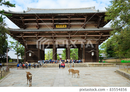 Todaiji Namdaemun and Deer 83554856