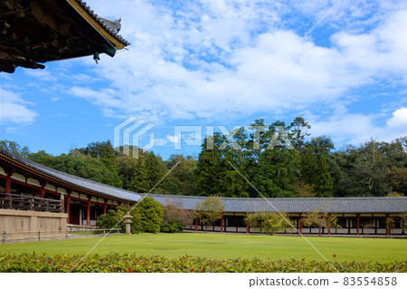 東大寺走廊和藍天的大佛殿 83554858