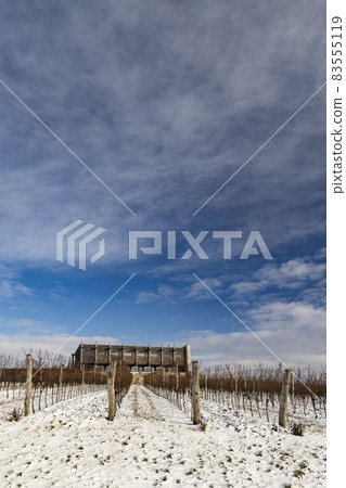 Winter landscape near Popice, Southern Moravia, Czech Republic 83555119