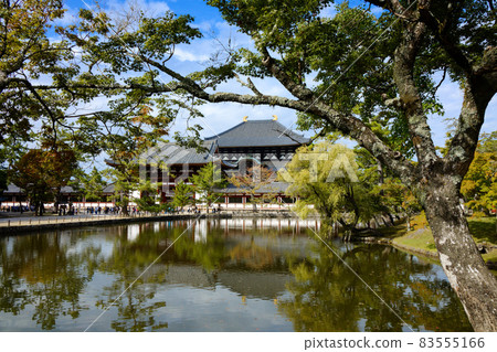 照耀東大寺大佛殿和鏡池的風景 照耀東大寺大佛殿和鏡池的風景 83555166