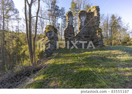 Chlum ruins from the 13th century near Zbysov, Central Bohemia, Czech Republic Chlum ruins from the 13th century near Zbysov, Central Bohemia, Czech Republic 83555187
