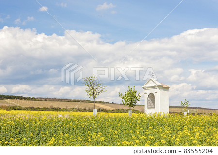 spring landscape near Konice near Znojmo, Czech Republic 83555204