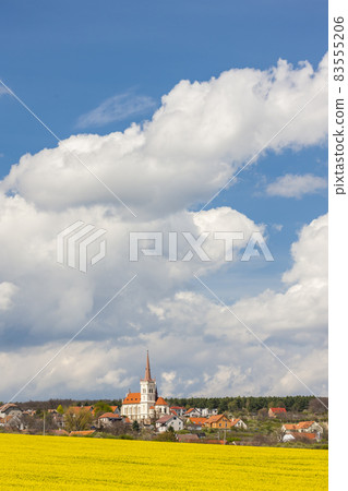 spring landscape near Konice near Znojmo, Czech Republic 83555206