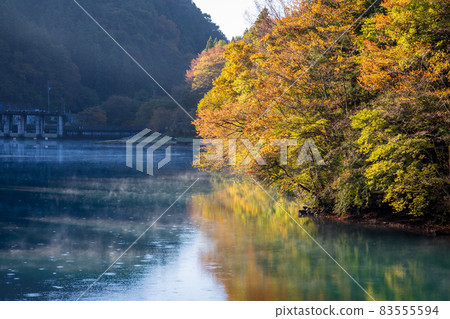 Lake Shima Lake in autumn, Nakanojo Town, Gunma Prefecture Lake Shima Lake in autumn, Nakanojo Town, Gunma Prefecture 83555594