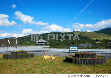 從奈良縣政府看東大寺大佛殿 從奈良縣政府看東大寺大佛殿 83555747
