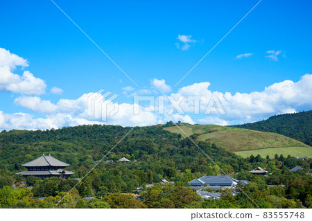 從奈良縣政府看東大寺大佛殿 從奈良縣政府看東大寺大佛殿 83555748