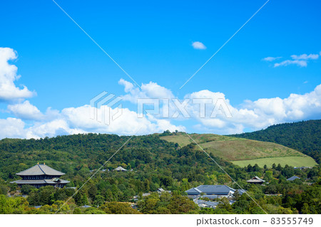 View of the Great Buddha Hall of Todaiji Temple from Nara Prefectural Office View of the Great Buddha Hall of Todaiji Temple from Nara Prefectural Office 83555749
