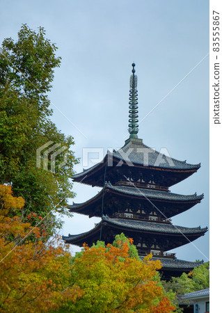 興福寺五層塔和秋葉 83555867