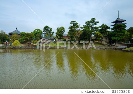 興福寺五塔和猿澤池 83555868