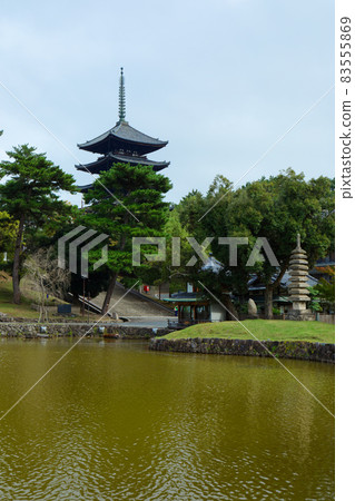 興福寺五塔和猿澤池 83555869