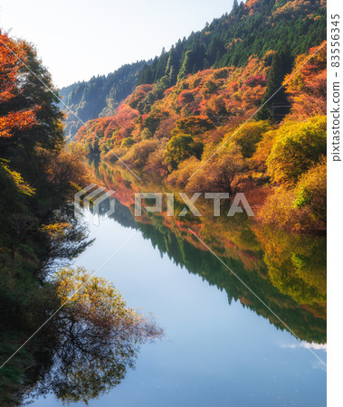 茨城縣北原市水沼大壩的秋葉與倒影 茨城縣北原市水沼大壩的秋葉與倒影 83556345