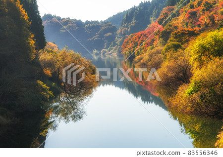 茨城縣北原市水沼大壩的秋葉與倒影 茨城縣北原市水沼大壩的秋葉與倒影 83556346