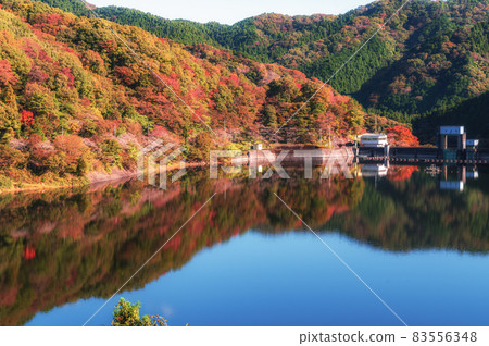 茨城縣北原市水沼大壩的秋葉與倒影 茨城縣北原市水沼大壩的秋葉與倒影 83556348
