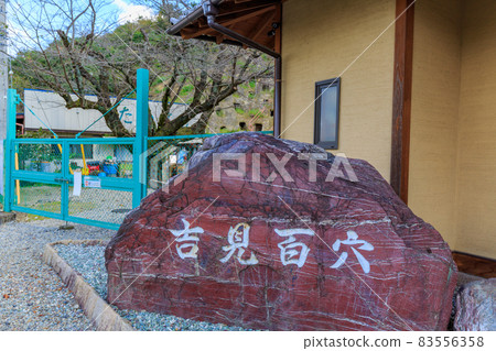 Saitama Prefecture Yoshimi Town Yoshimi Hyakuana Saitama Prefecture Yoshimi Town Yoshimi Hyakuana 83556358