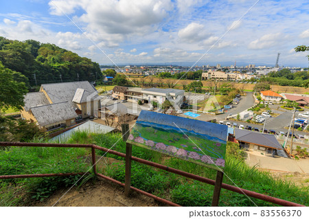Saitama Prefecture Yoshimi Town Yoshimi Hyakuana Saitama Prefecture Yoshimi Town Yoshimi Hyakuana 83556370